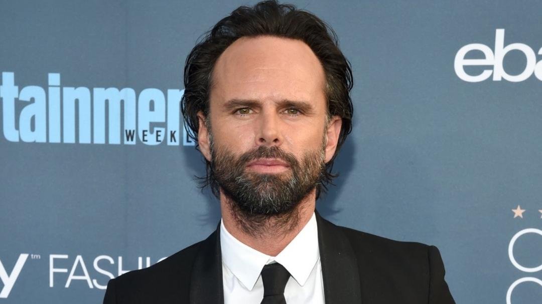 Amazon's Fallout TV Series Cast Walton Goggins